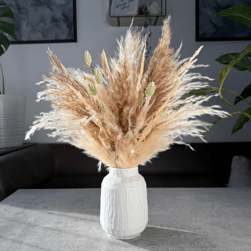Evelyn Dried Flower Arrangement In Natural, Cream & Soft Green - Pampas Tallo