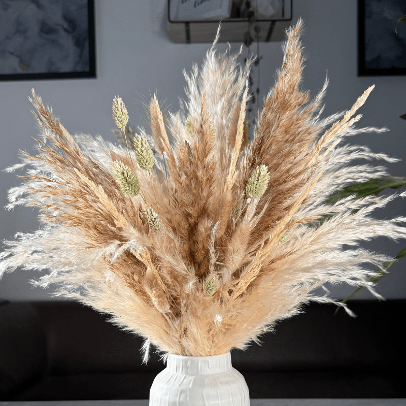 Evelyn Dried Flower Arrangement In Natural, Cream & Soft Green - Pampas Tallo