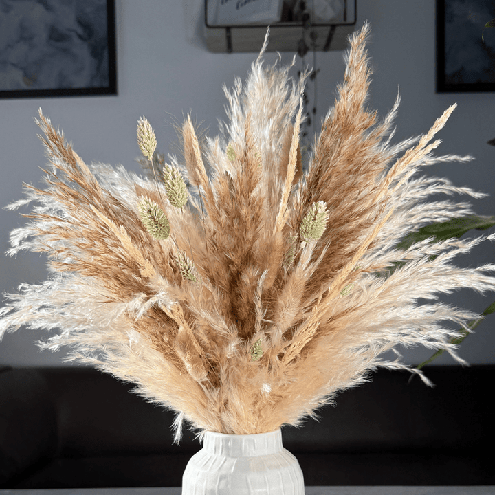 Evelyn Dried Flower Arrangement In Natural, Cream & Soft Green - Pampas Tallo