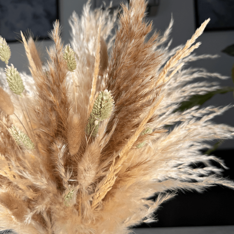 Evelyn Dried Flower Arrangement In Natural, Cream & Soft Green - Pampas Tallo