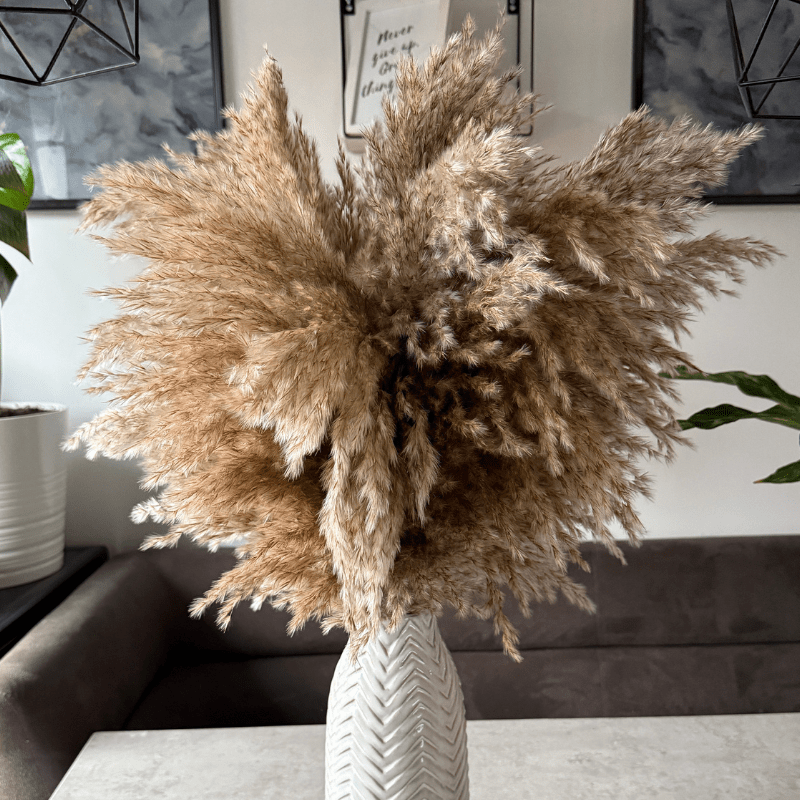 Faith Dried Flower Arrangement In Natural Fluffy Pampas Grass - Pampas Tallo