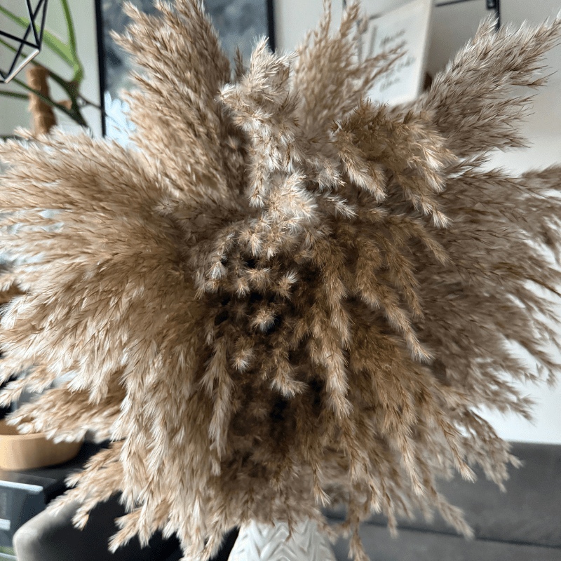 Faith Dried Flower Arrangement In Natural Fluffy Pampas Grass - Pampas Tallo