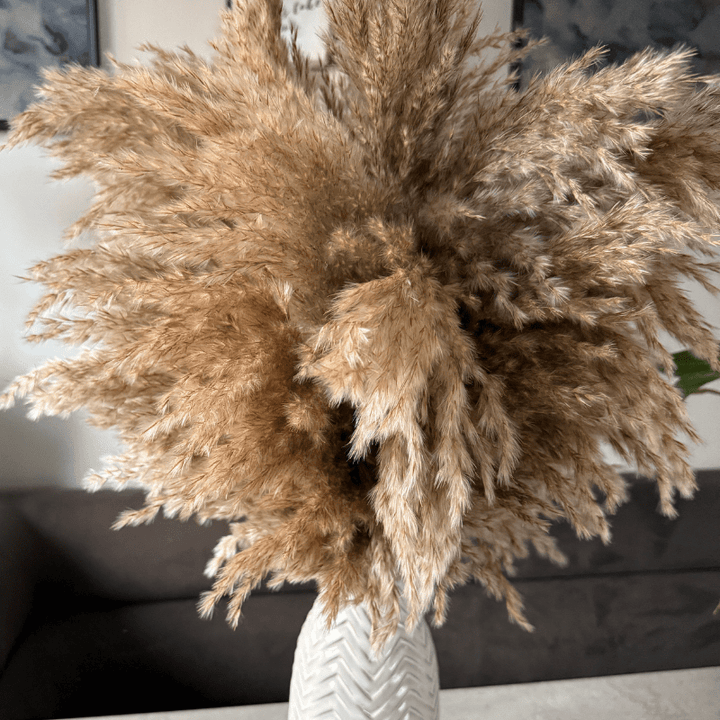 Faith Dried Flower Arrangement In Natural Fluffy Pampas Grass - Pampas Tallo