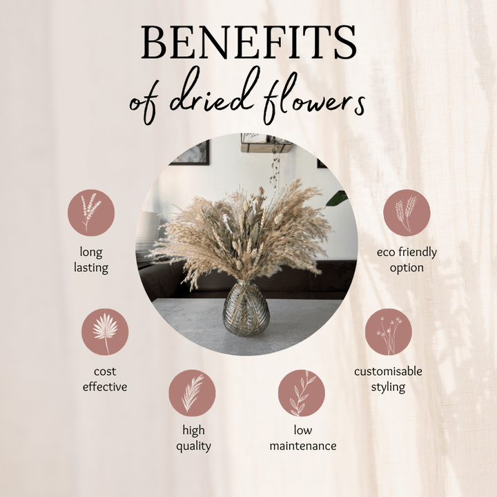 Fern Dried Flower Arrangement In Natural & Soft Green - Pampas Tallo