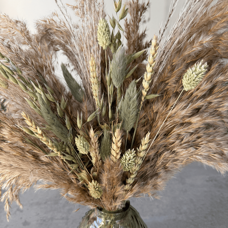 Fern Dried Flower Arrangement In Natural & Soft Green - Pampas Tallo