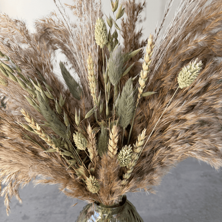 Fern Dried Flower Arrangement In Natural & Soft Green - Pampas Tallo