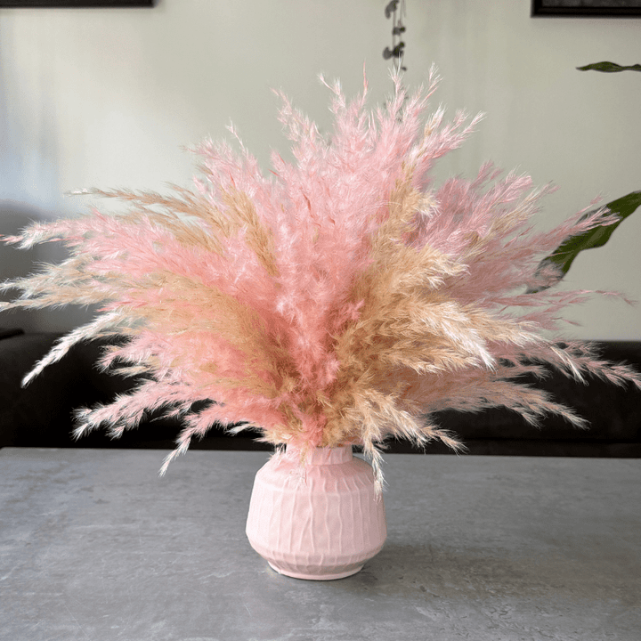 Florence Dried Flower Arrangement In Fluffy Cream & Pink Pampas Grass - Pampas Tallo