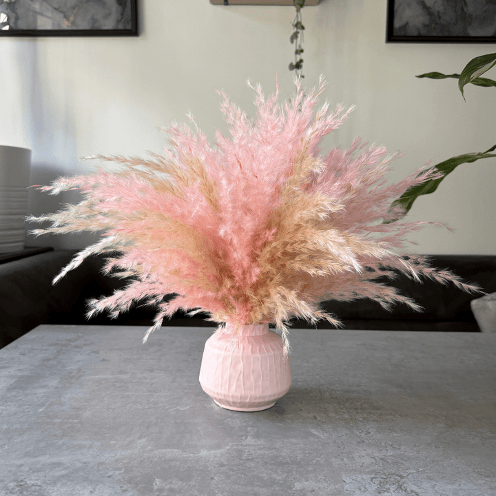 Florence Dried Flower Arrangement In Fluffy Cream & Pink Pampas Grass - Pampas Tallo