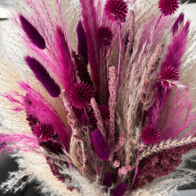 Gaia Dried Flower Arrangement In Natural, Berry Purple & Pink - Pampas Tallo