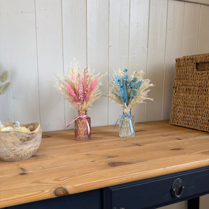 Gender Reveal Package - Pampas Tallo