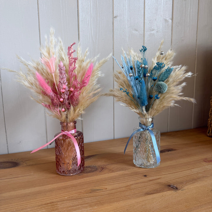 Gender Reveal Package - Pampas Tallo