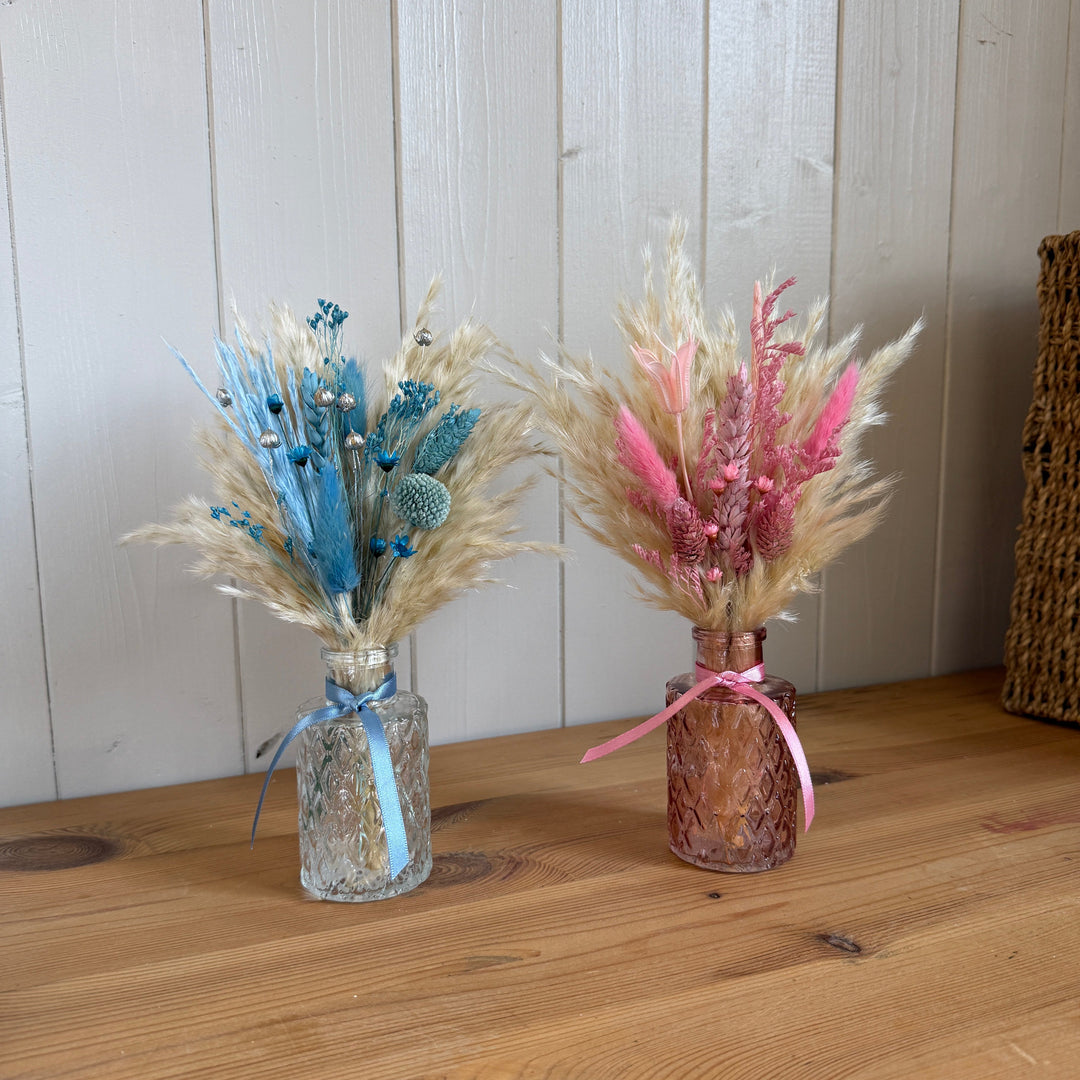 Gender Reveal Package - Pampas Tallo