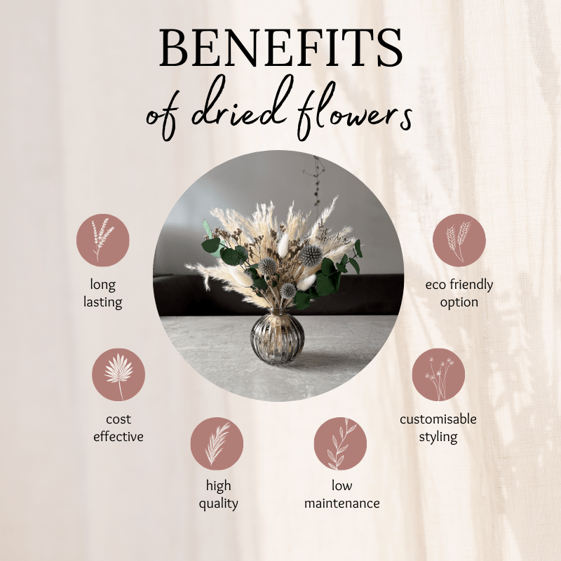 Halima Dried Flower Arrangement In Cream, Natural Purple & Eucalyptus - Pampas Tallo