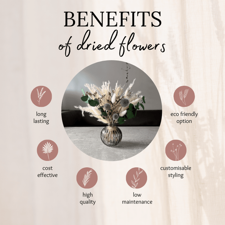 Halima Dried Flower Arrangement In Cream, Natural Purple & Eucalyptus - Pampas Tallo