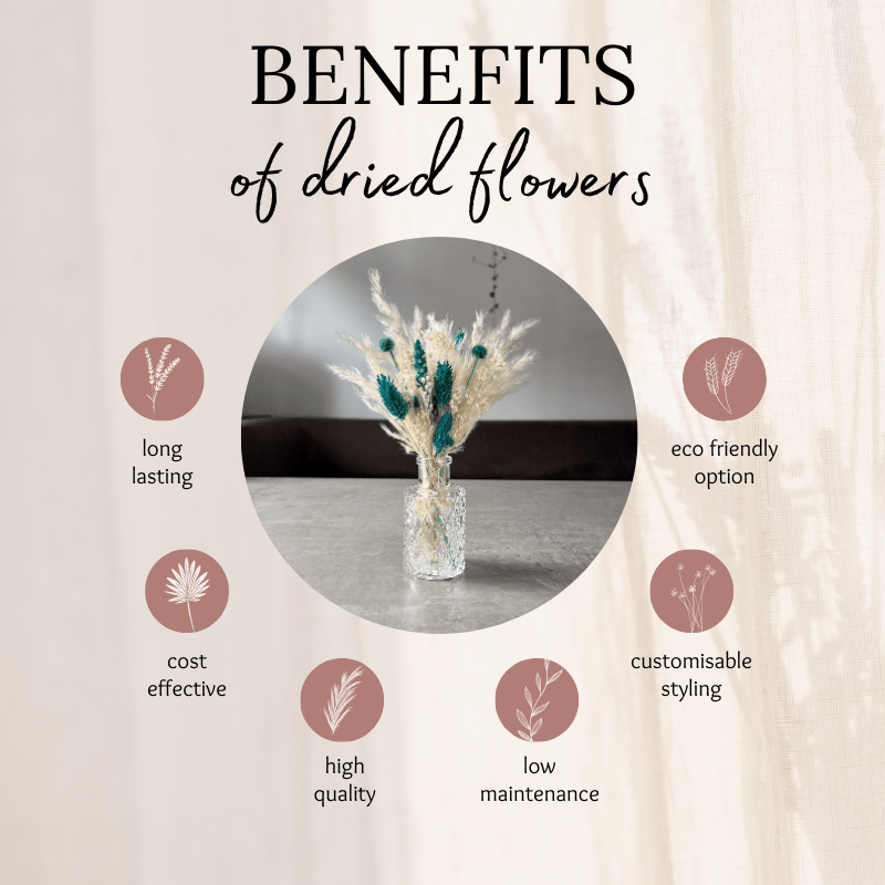 Harlow Dried Flower Arrangement In Cream & Teal - Pampas Tallo