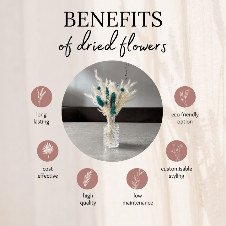 Harlow Dried Flower Arrangement In Cream & Teal - Pampas Tallo