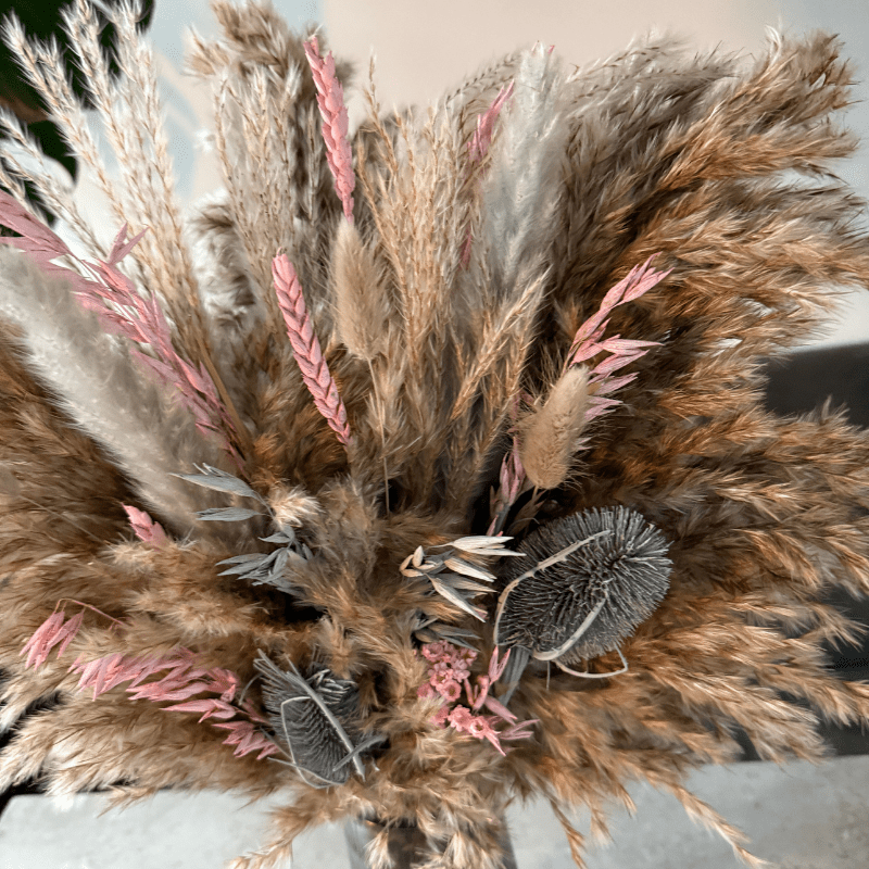 Iniyah Dried Flower Arrangement In Natural, Grey & Pink - Pampas Tallo