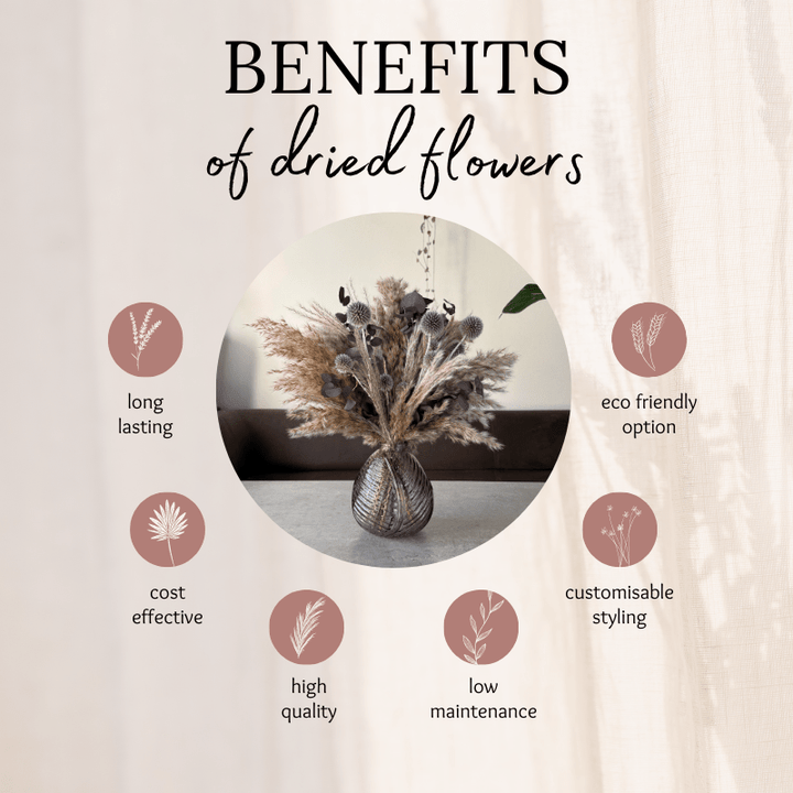 Isla Dried Flower Arrangement In Natural, Scottish Thistles & Purple Eucalyptus - Pampas Tallo