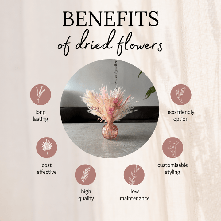 Jaya Dried Flower Arrangement In Pink & Cream - Pampas Tallo