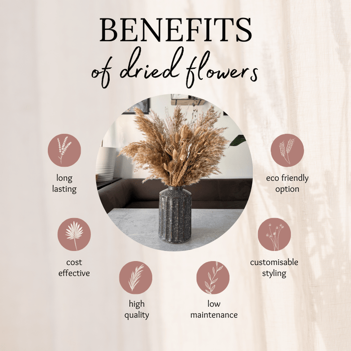 Laura Dried Flower Arrangement In Natural - Pampas Tallo