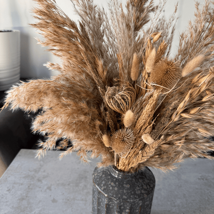 Laura Dried Flower Arrangement In Natural - Pampas Tallo