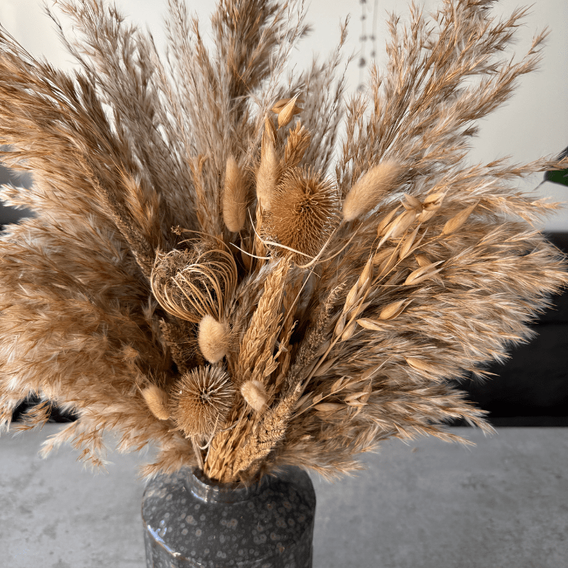 Laura Dried Flower Arrangement In Natural - Pampas Tallo