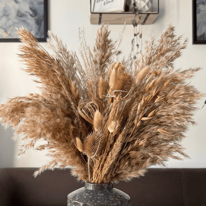 Laura Dried Flower Arrangement In Natural - Pampas Tallo