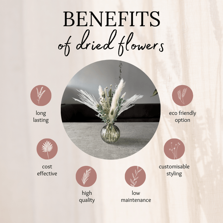 Mairi Dried Flower Arrangement In White & Green - Pampas Tallo