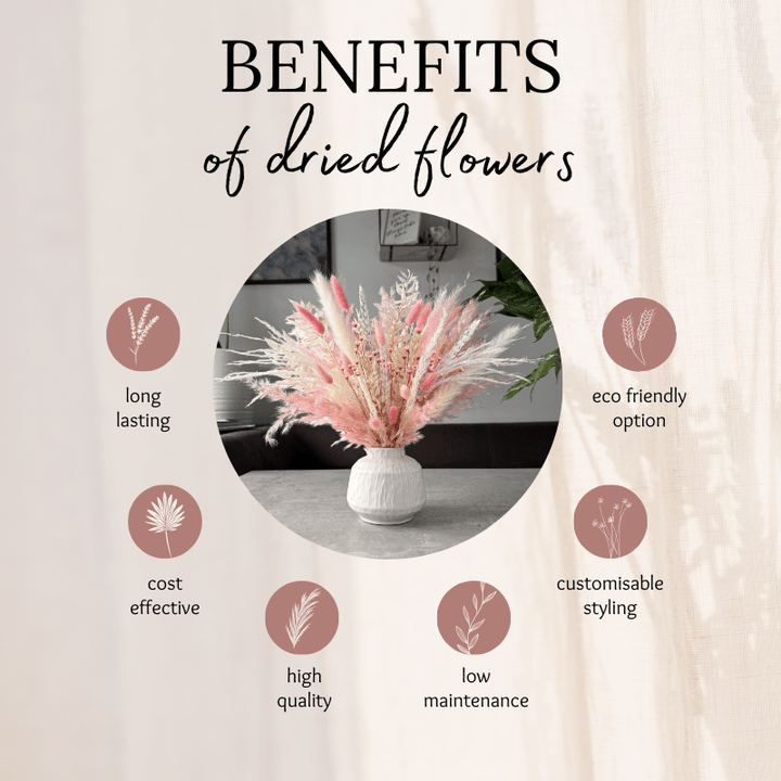 Maisie Dried Flower Arrangement In White & Pink - Pampas Tallo