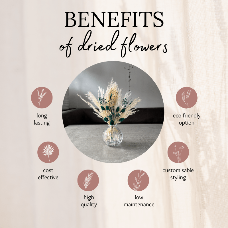 Malaya Dried Flower Arrangement In Cream & Emerald - Pampas Tallo