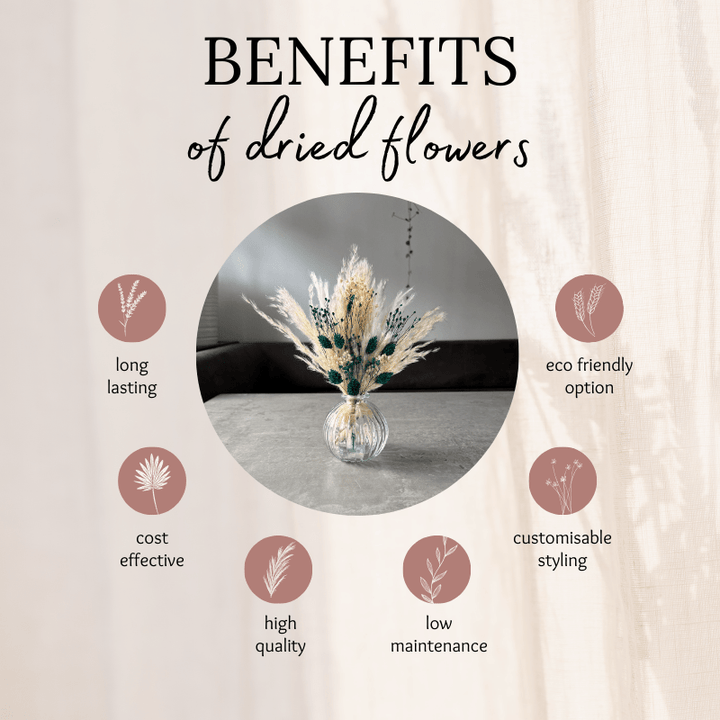 Malaya Dried Flower Arrangement In Cream & Emerald - Pampas Tallo