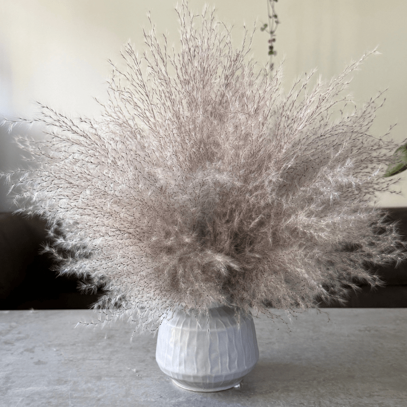 Margo Dried Flower Arrangement In Fluffy Grey Pampas Grass - Pampas Tallo