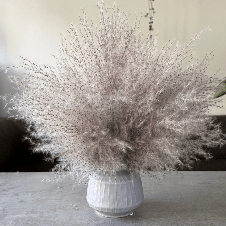 Margo Dried Flower Arrangement In Fluffy Grey Pampas Grass - Pampas Tallo