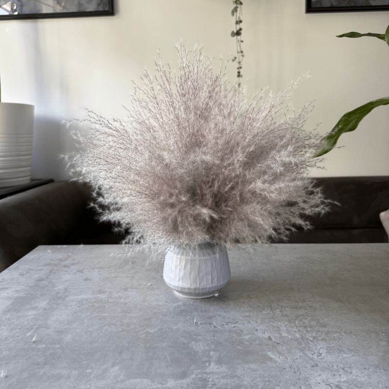 Margo Dried Flower Arrangement In Fluffy Grey Pampas Grass - Pampas Tallo