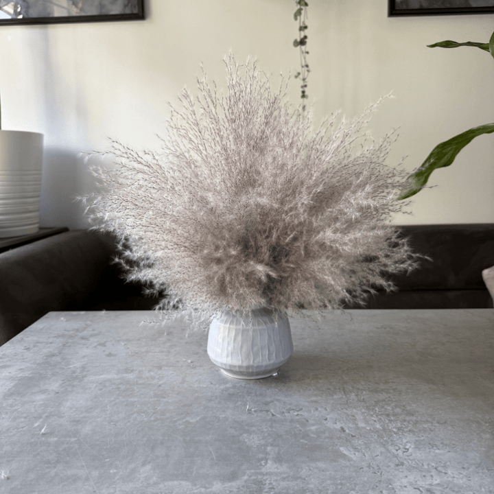 Margo Dried Flower Arrangement In Fluffy Grey Pampas Grass - Pampas Tallo