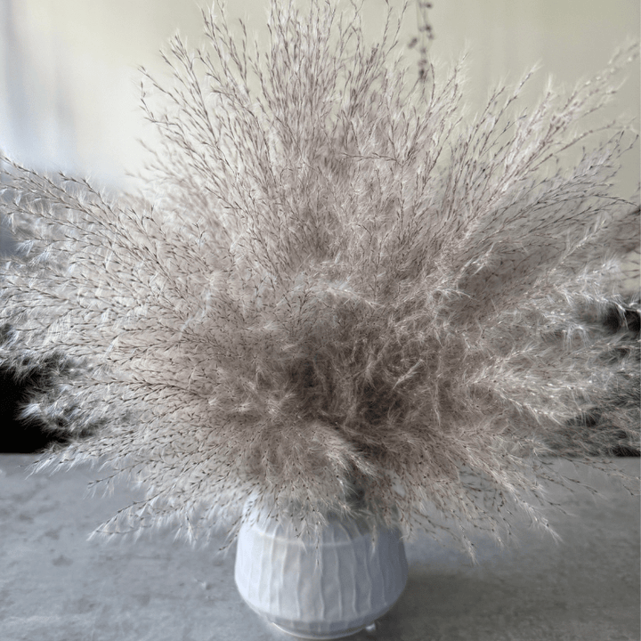 Margo Dried Flower Arrangement In Fluffy Grey Pampas Grass - Pampas Tallo