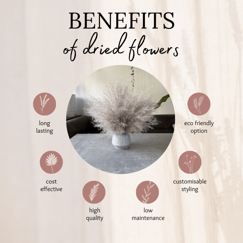 Margo Dried Flower Arrangement In Fluffy Grey Pampas Grass - Pampas Tallo