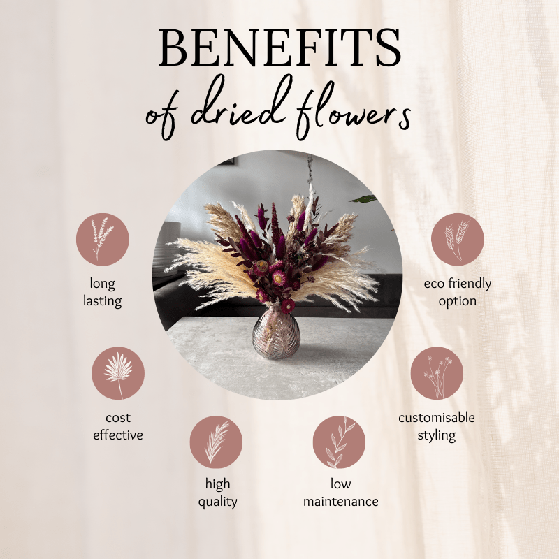 Nadia Dried Flower Arrangement In Natural, Cream & Berry Tones - Pampas Tallo