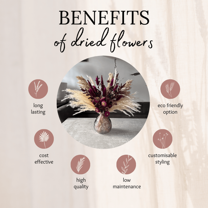 Nadia Dried Flower Arrangement In Natural, Cream & Berry Tones - Pampas Tallo