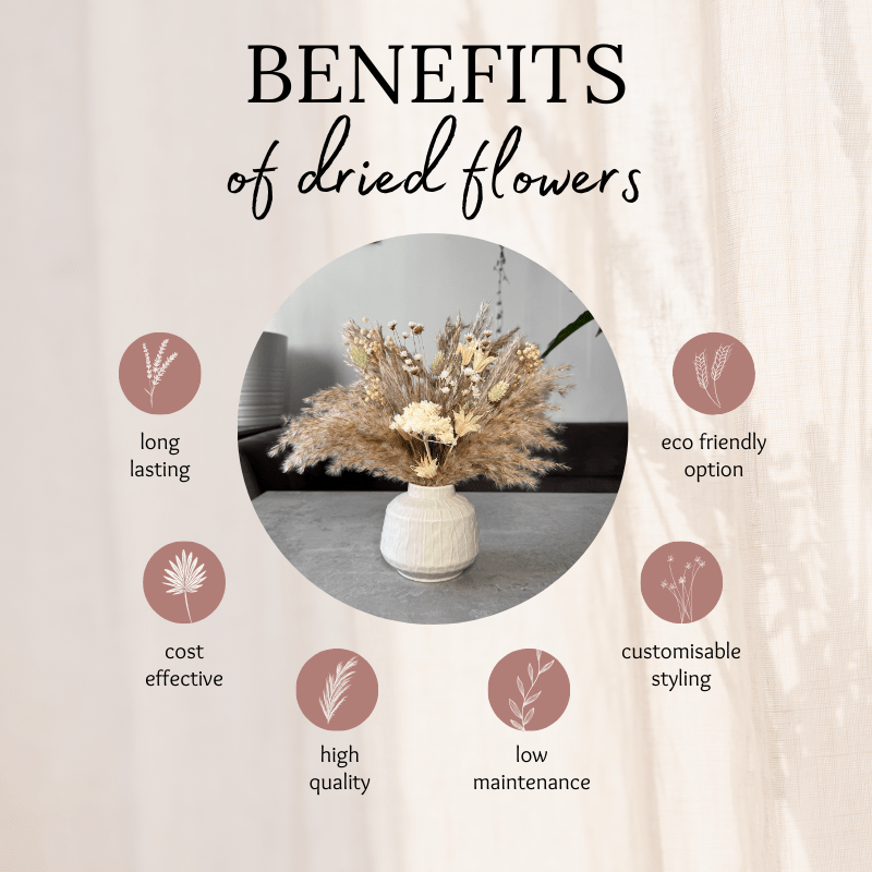 Nancy Dried Flower Arrangement In Natural, Cream & Soft Green - Pampas Tallo