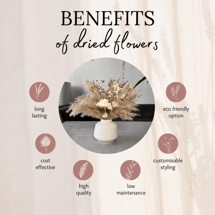 Nancy Dried Flower Arrangement In Natural, Cream & Soft Green - Pampas Tallo