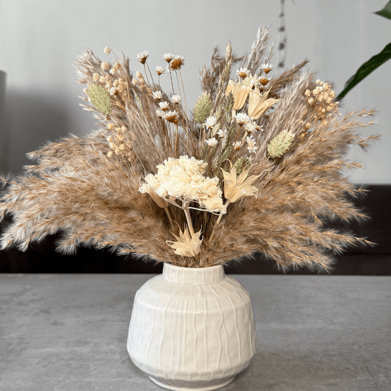 Nancy Dried Flower Arrangement In Natural, Cream & Soft Green - Pampas Tallo