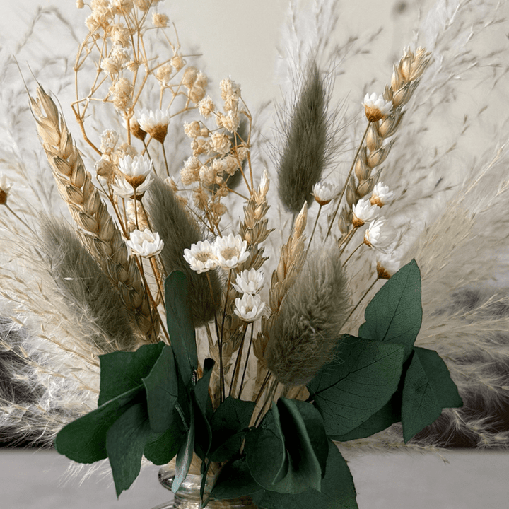 Nova Dried Flower Arrangement In Sage Green, Natural & White - Pampas Tallo