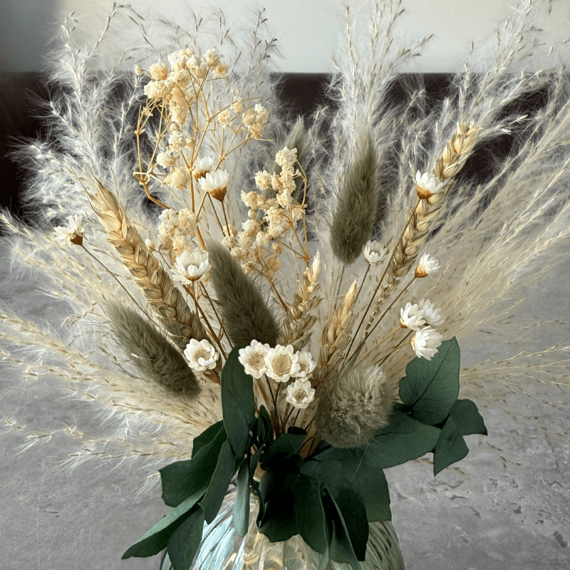 Nova Dried Flower Arrangement In Sage Green, Natural & White - Pampas Tallo