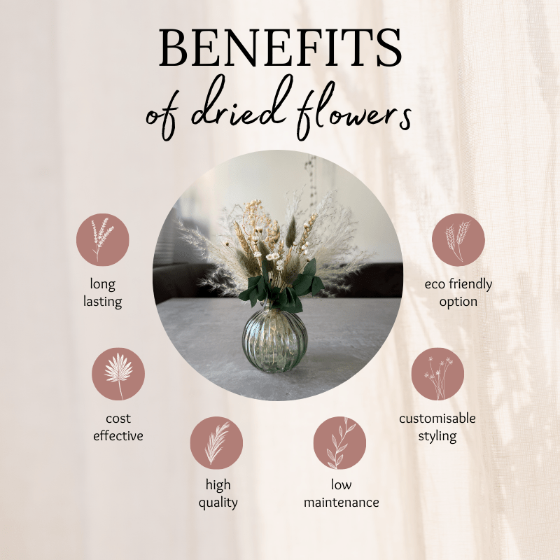 Nova Dried Flower Arrangement In Sage Green, Natural & White - Pampas Tallo