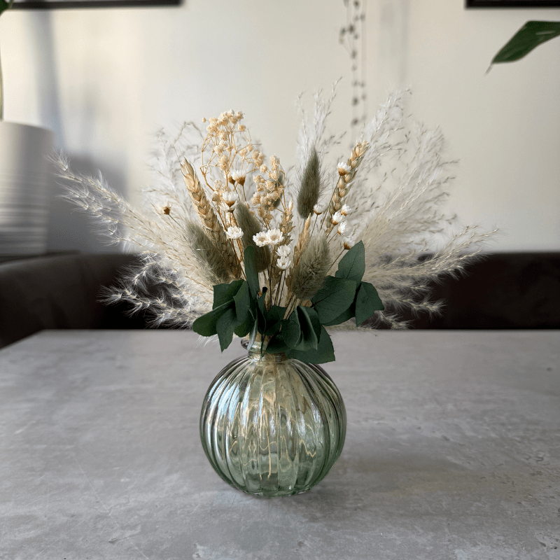 Nova Dried Flower Arrangement In Sage Green, Natural & White - Pampas Tallo