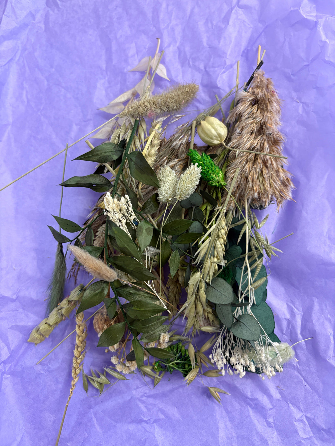 Offcut Dried Flowers - Pampas Tallo