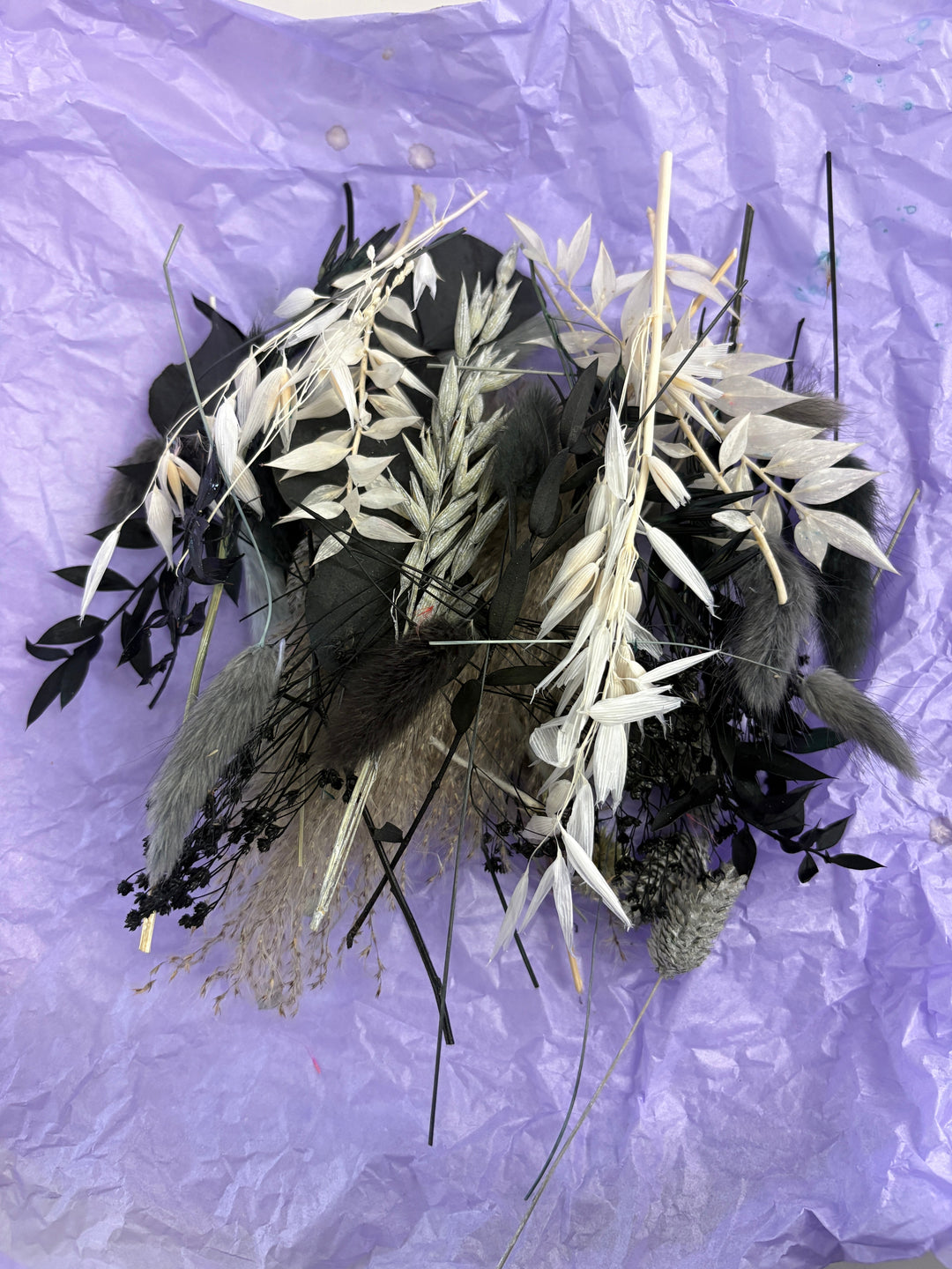 Offcut Dried Flowers - Pampas Tallo