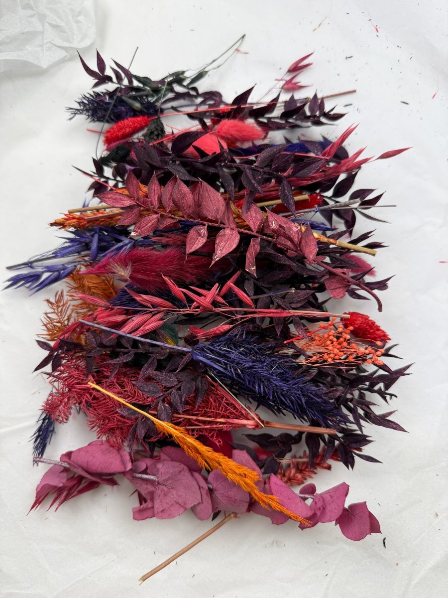 Offcut Dried Flowers - Pampas Tallo