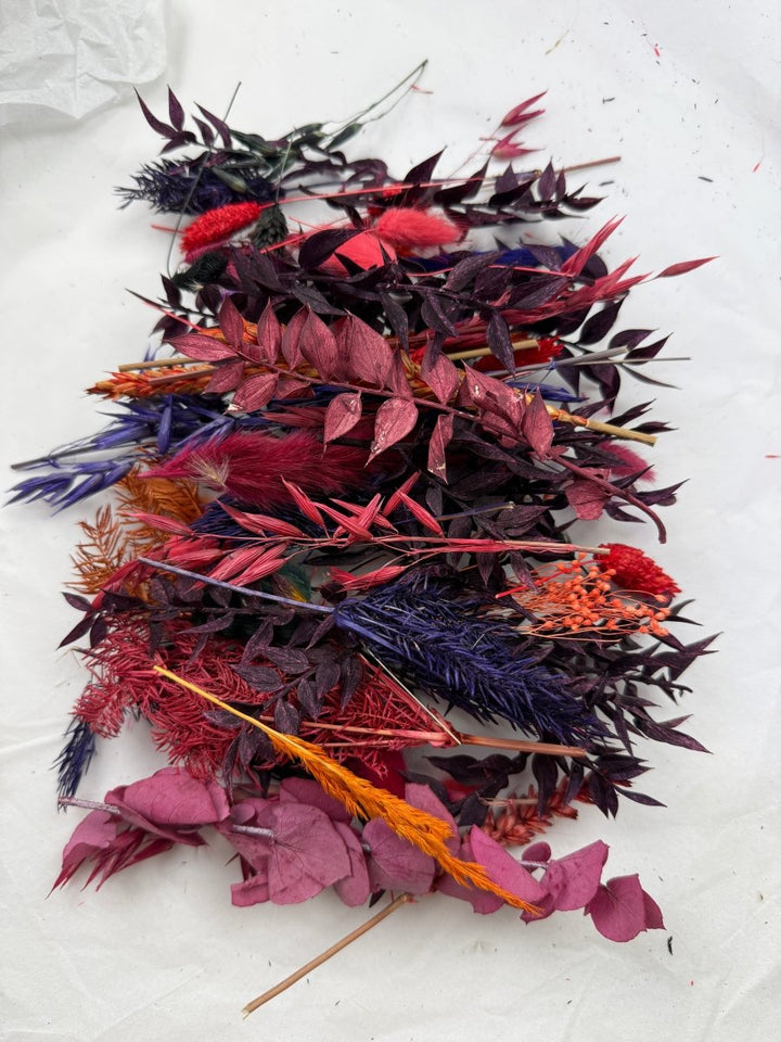 Offcut Dried Flowers - Pampas Tallo